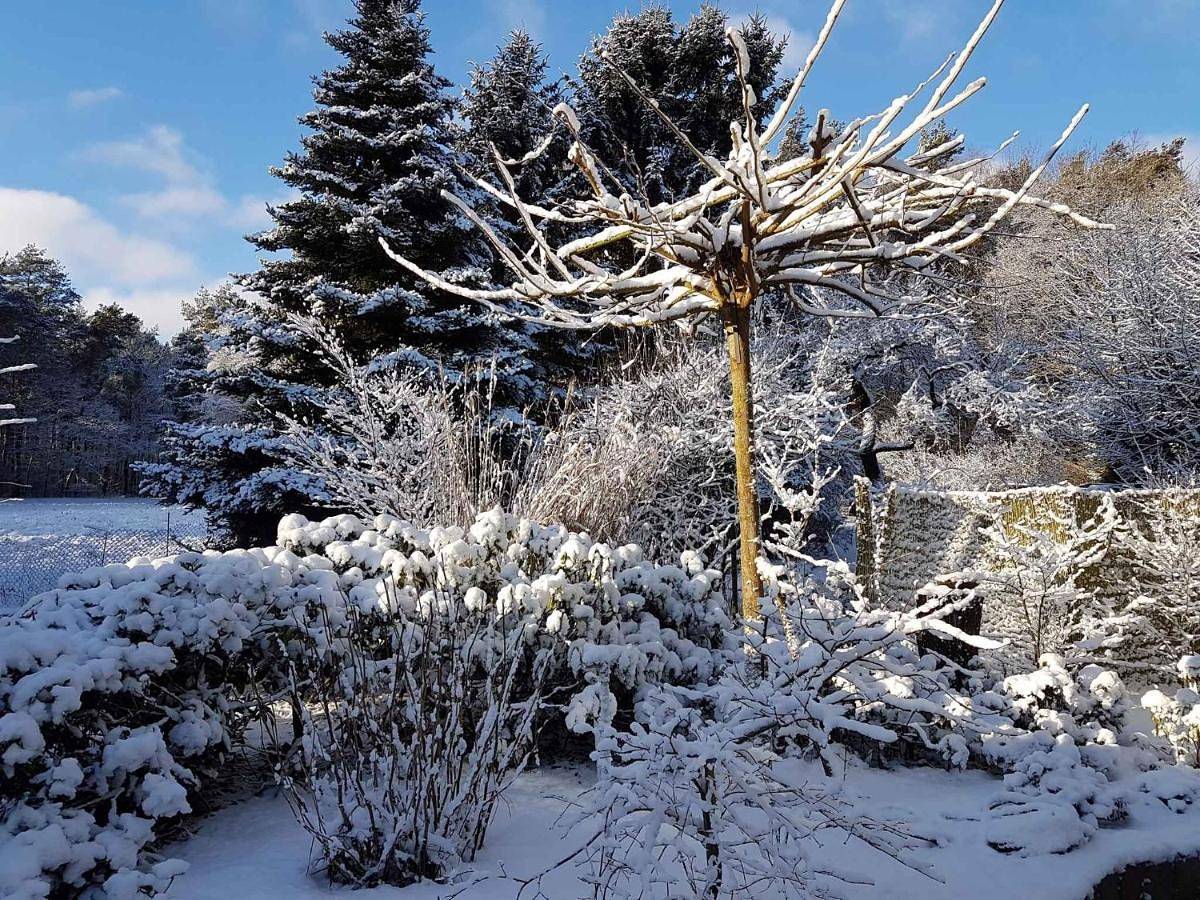 Holiday home in Coswig 3105 in Möllensdorf, Coswig (Anhalt)