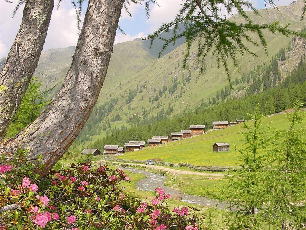 Almhütte Selmer - Ferienhaus/Alm 3 Sz/Fallabort/Fließw. in Innervillgraten, Osttirol