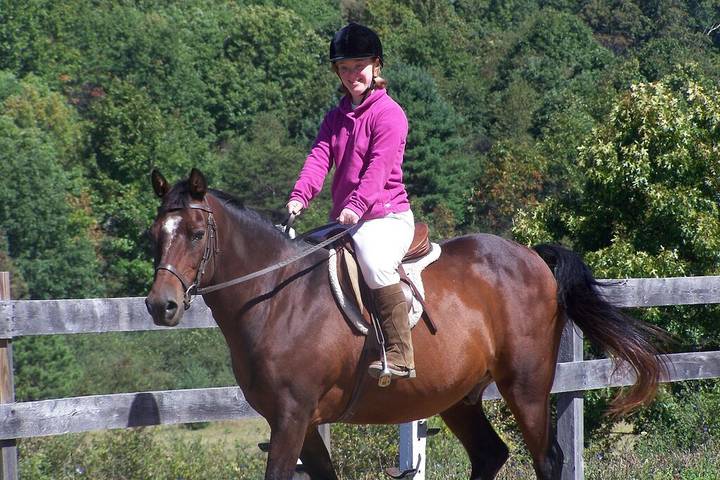 Holiday rental for 4 people, with terrace and sauna as well as garden in Blue Ridge Mountains