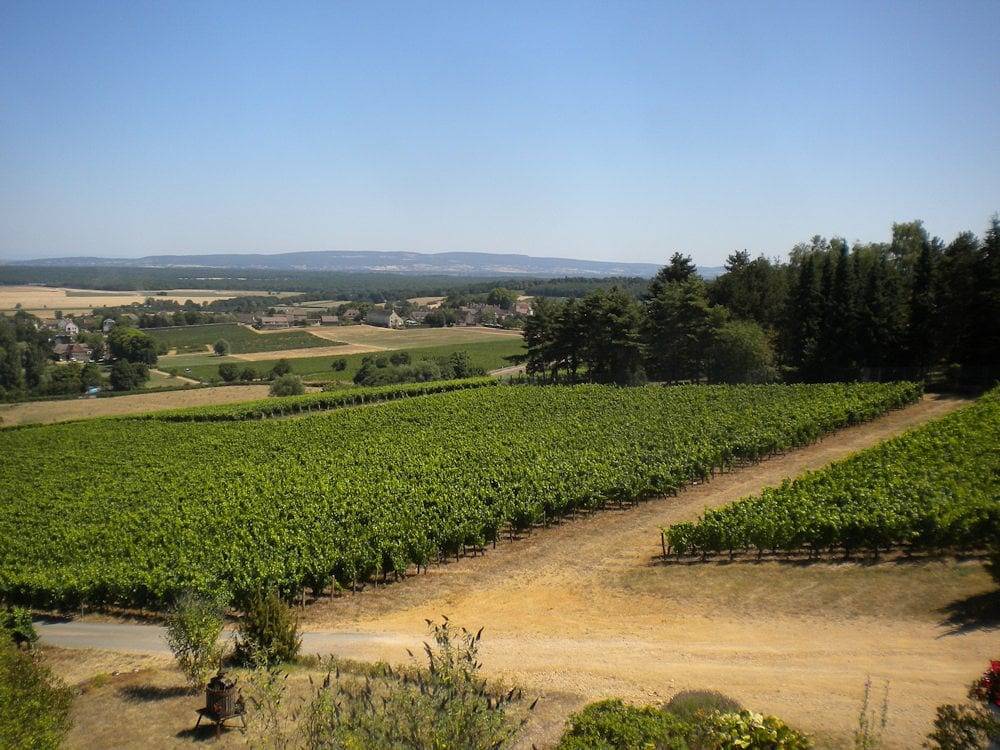 Chambres d'hôtes Le Mont Laurent - Chambre Le Mont Laurent in Buxy, Chalon-sur-Saône region