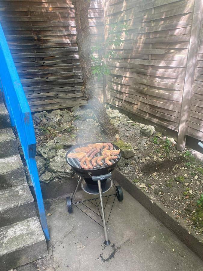 Gîte pour 4 personnes, avec jardin et vue, animaux acceptés dans Rambervillers - 4
