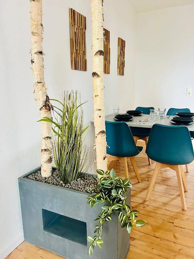 Appartement entier, Zuhause in Kehl, Forêt-Noire centrale
