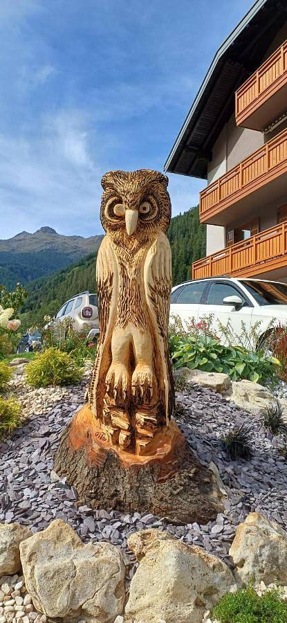 Gîte pour 4 personnes, avec vue, animaux acceptés à Rabbi - 3