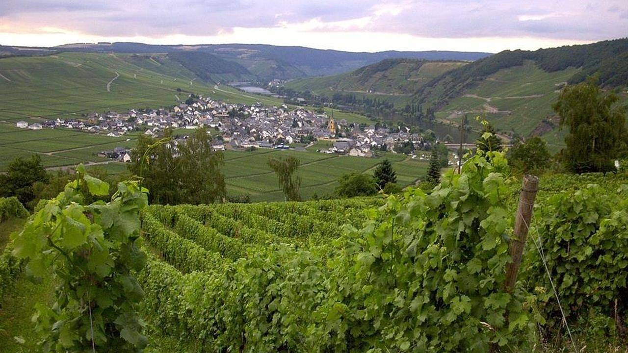Geheel vakantieappartement, Vakantieappartement voor 6 personen met balkon in Trittenheim, Moseleifel