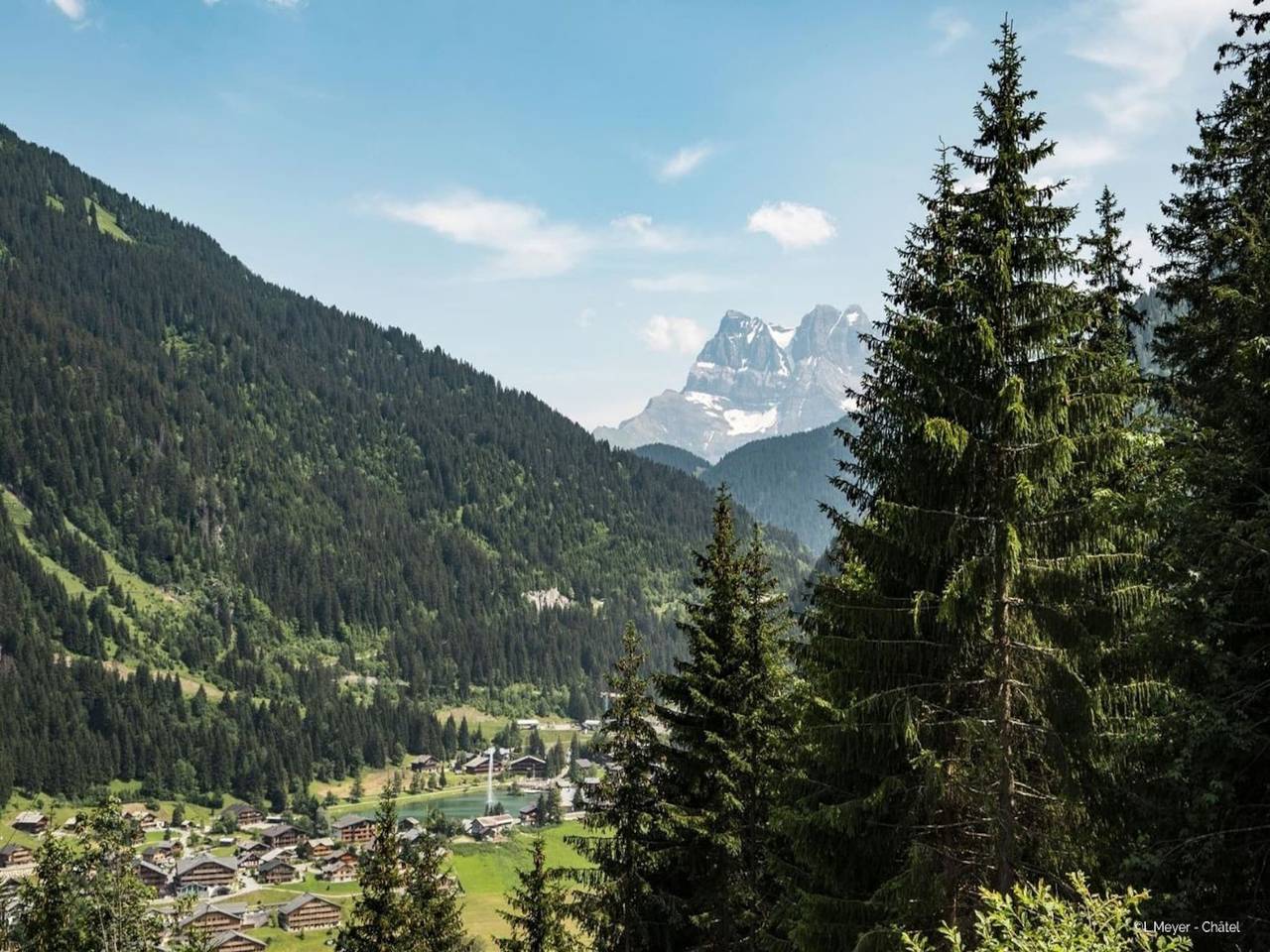 Entire apartment, Apartment for 4 people in France in Châtel, Les Portes du Soleil