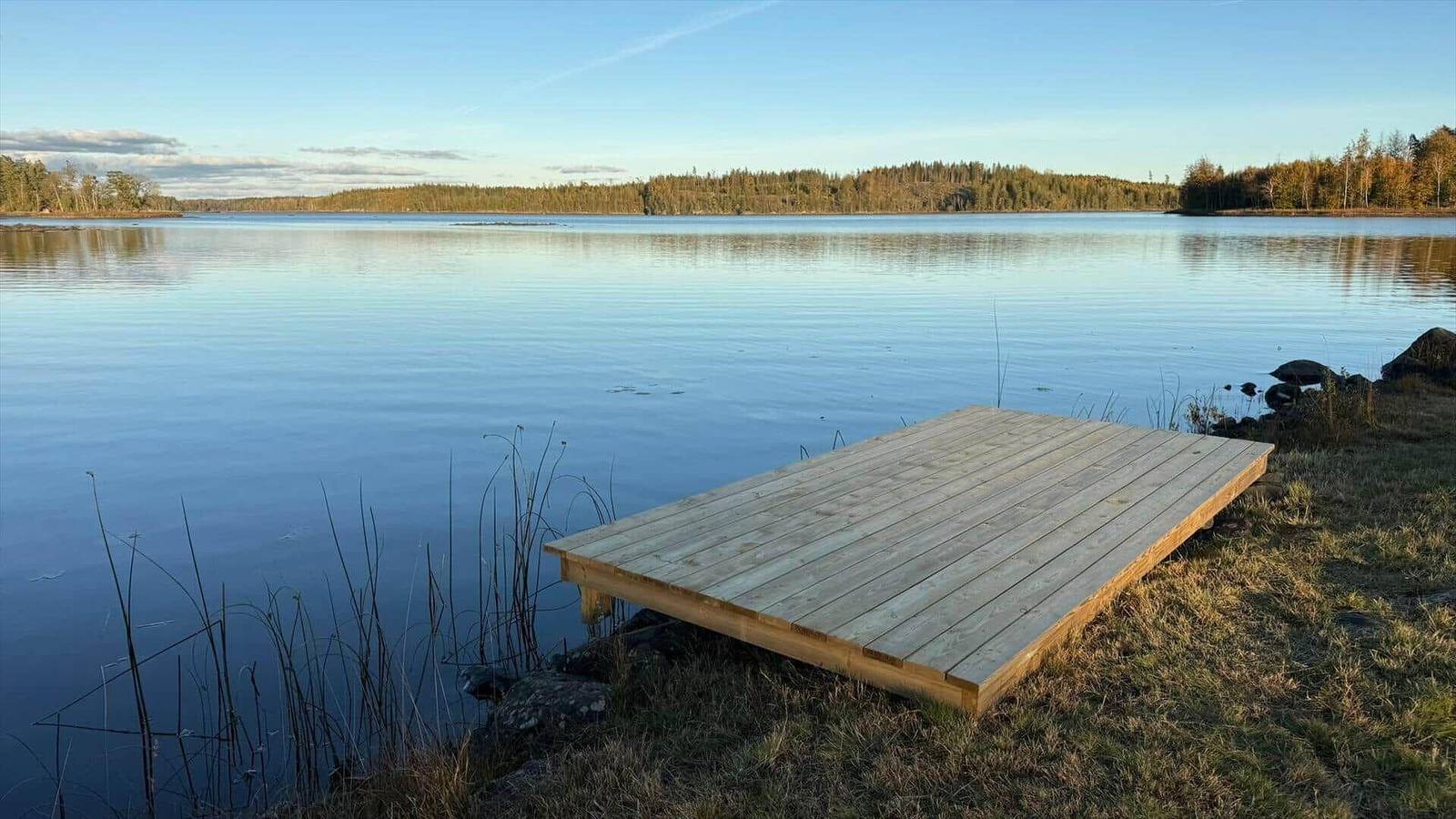 Vgo109 Kalv - Rösarp Sperlingsholm 203 in Västergötland
