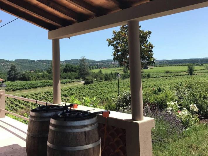 Villa avec piscine au milieu des vignobles in Vire-sur-Lot, Quercy