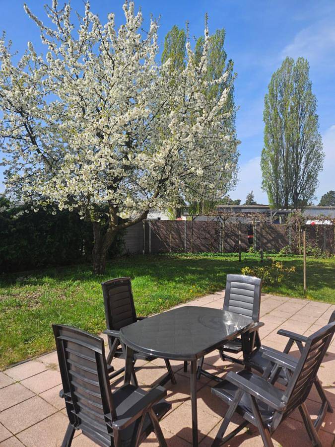 Ferienwohnung für 11 Personen, mit Terrasse und Garten in Französisch Buchholz Berlin - 3
