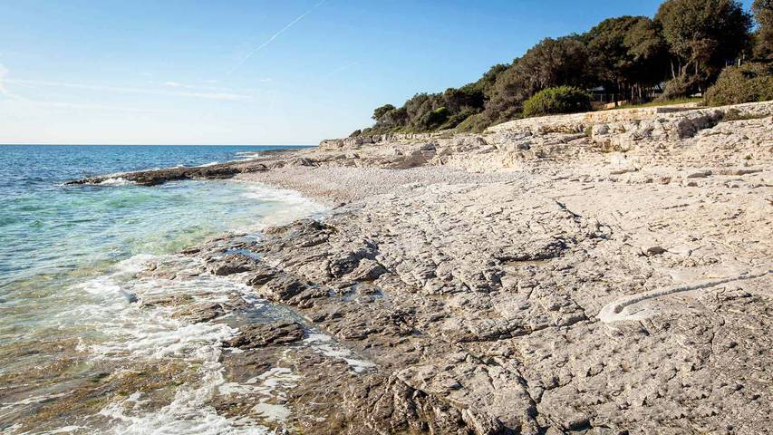 Ferienhaus für 12 Personen, mit Garten und Pool in Rovinj - 4