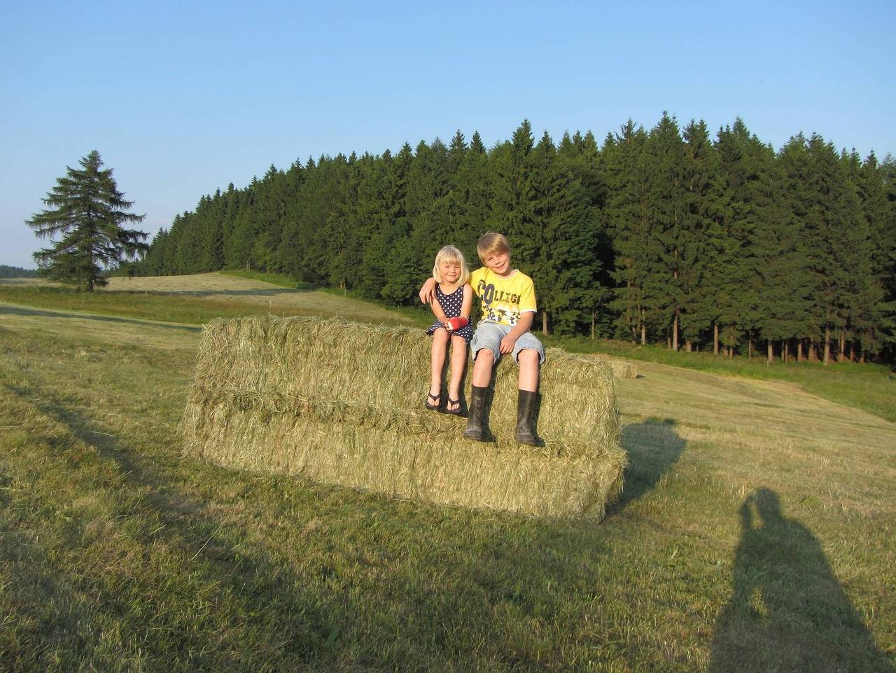 Ganze Ferienwohnung, Ferienwohnug am Alten Forsthaus - Fewo 6 in Föritztal, Frankenwald