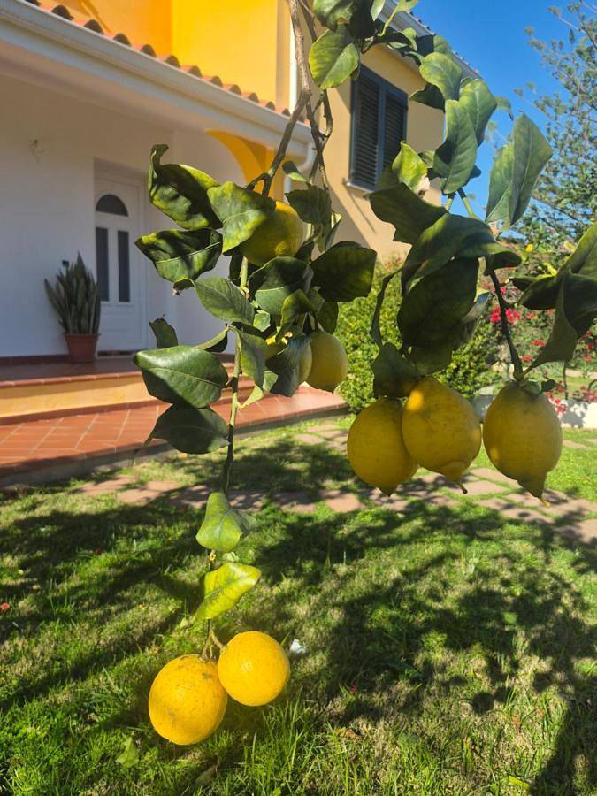 Villa per 7 persone, con Terrazza e Giardino nonché Panorama a Capoterra