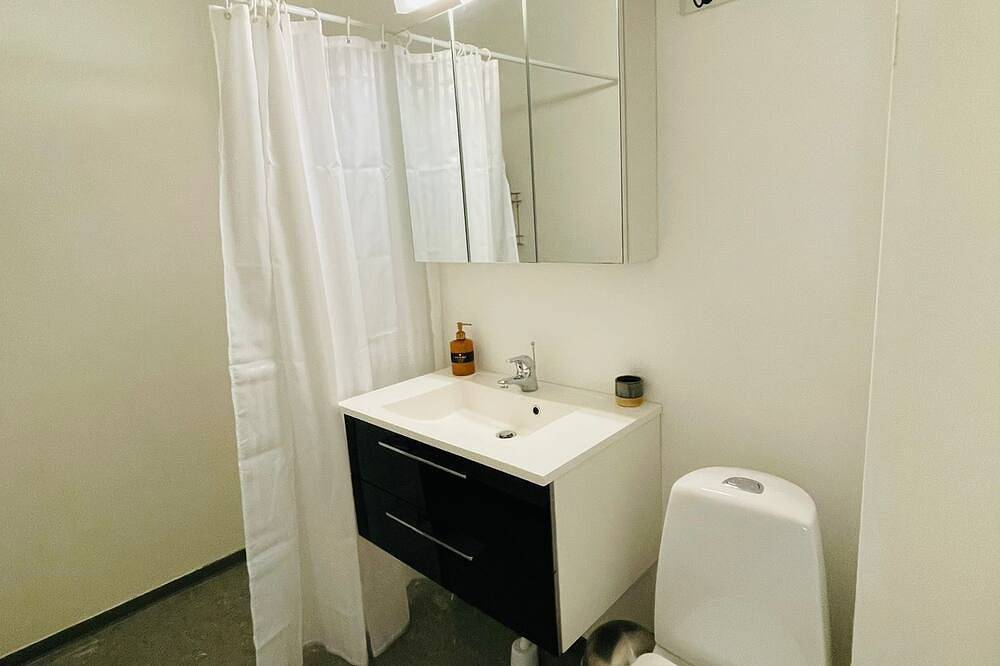 Ganze Wohnung, One room apartment in Hvidovre, Hovedstaden