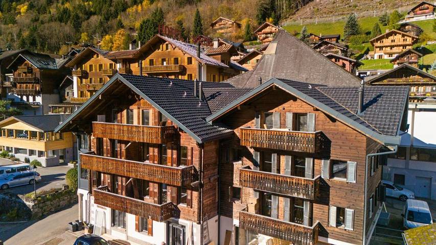 Maison d’hôte pour 4 personnes, avec terrasse, animaux acceptés à Champéry