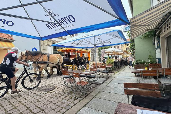 Ferienwohnung für 31 Personen, mit Haustier