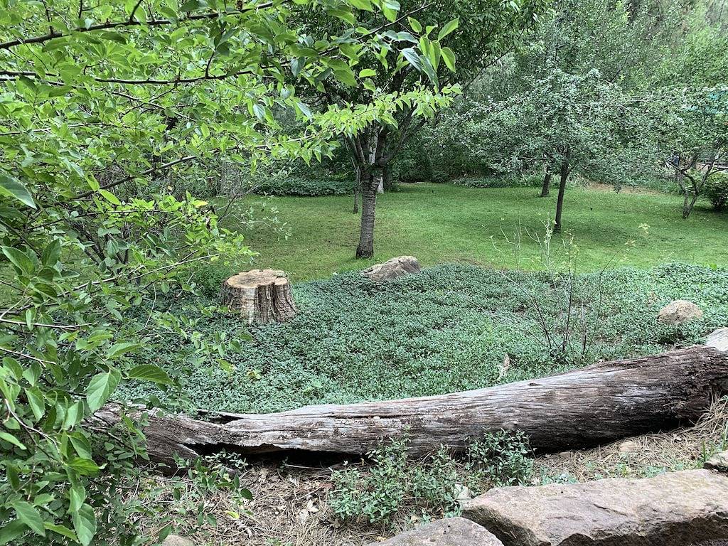 Gemütliche Stream Kabine in den Kiefern eingebettet in Gila County