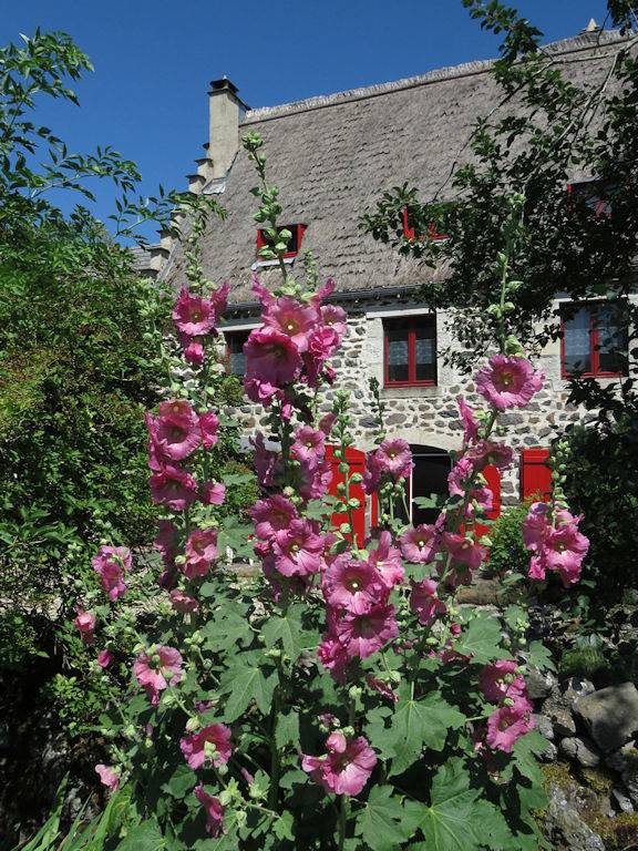 Gîte pour 5 personnes, avec jardin à Moudeyres