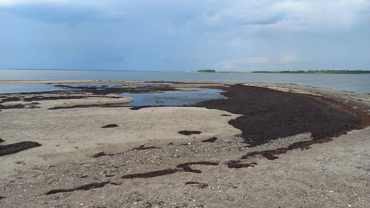 Ferienhaus für 6 Personen (72 m²) in Bøl in Jegindø, Thyholm
