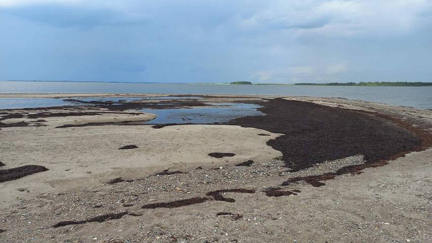 Ferienhaus für 7 Personen, mit Terrasse in Jegindø - 2