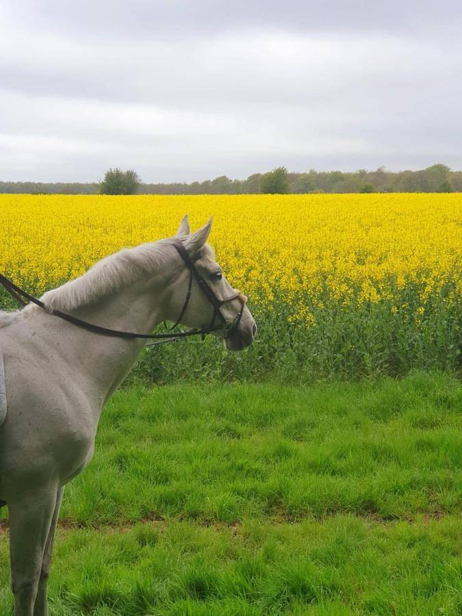 New Acre Pod in Angmering, South Downs