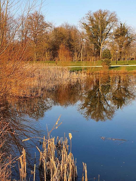 Gîte pour 7 personnes, avec terrasse dans Menetou-Râtel - 2