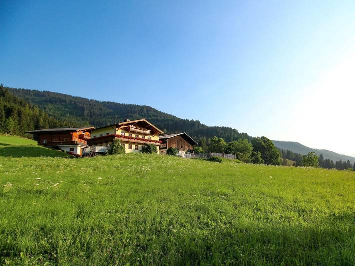 Ganze Ferienwohnung, Apartment/1 Schlafraum/Dusche, Wc in Filzmoos, Tennengau