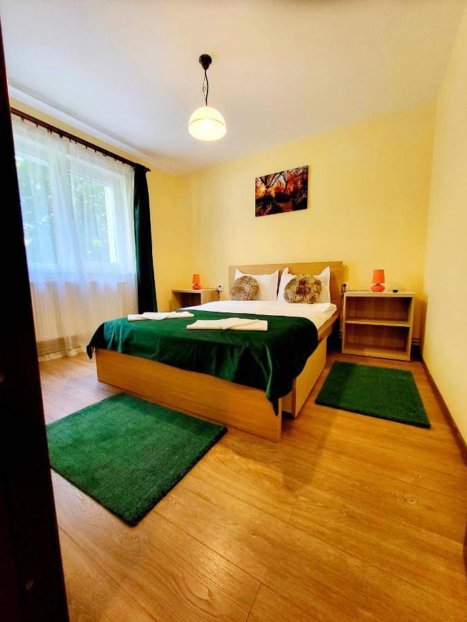 Gîte pour 4 personnes, avec jardin et vue à Sinaia - 2