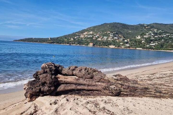 Gîte in Vico, Région d'Ajaccio