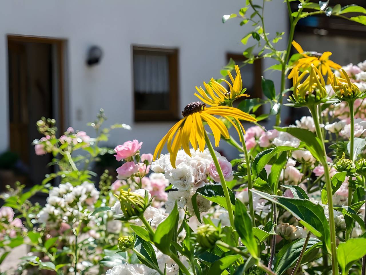 Ganze Ferienwohnung, Ferienwohnung Vergissmeinnicht - Ferienwohnung Vergissmeinnicht in Bad Peterstal-Griesbach, Mittlerer Schwarzwald
