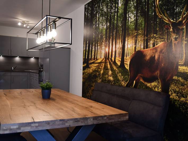 Ferienwohnung für 4 Personen, mit Balkon und Ausblick sowie Pool, mit Haustier in Bad Harzburg - 2