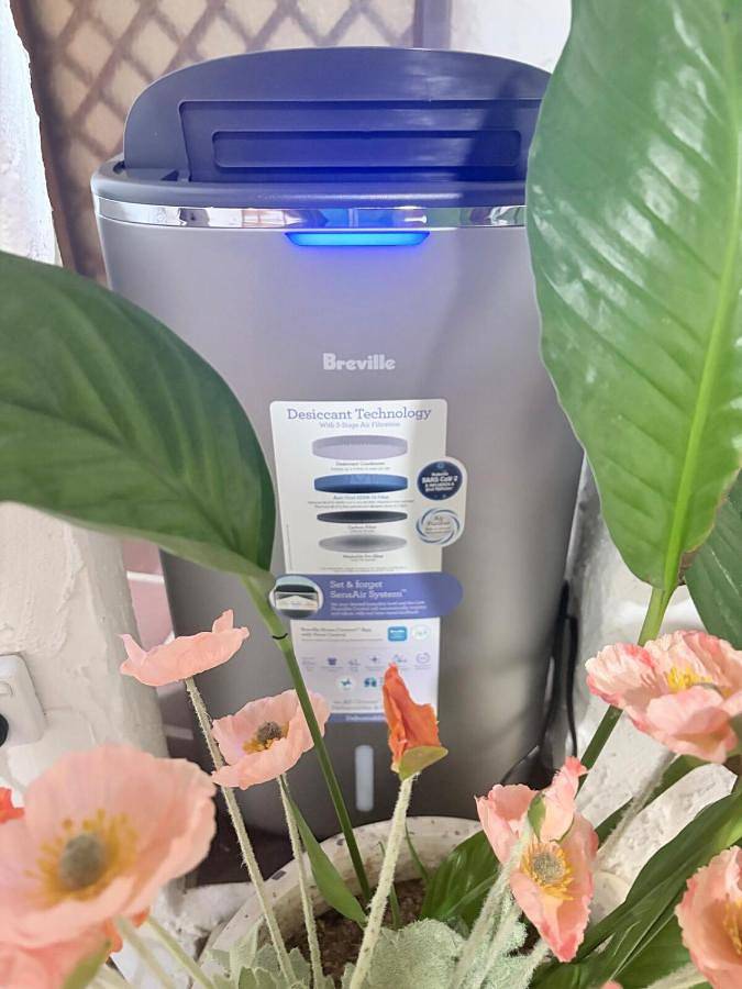 Villa pour 3 personnes, avec jardin et piscine à Sydney - 3