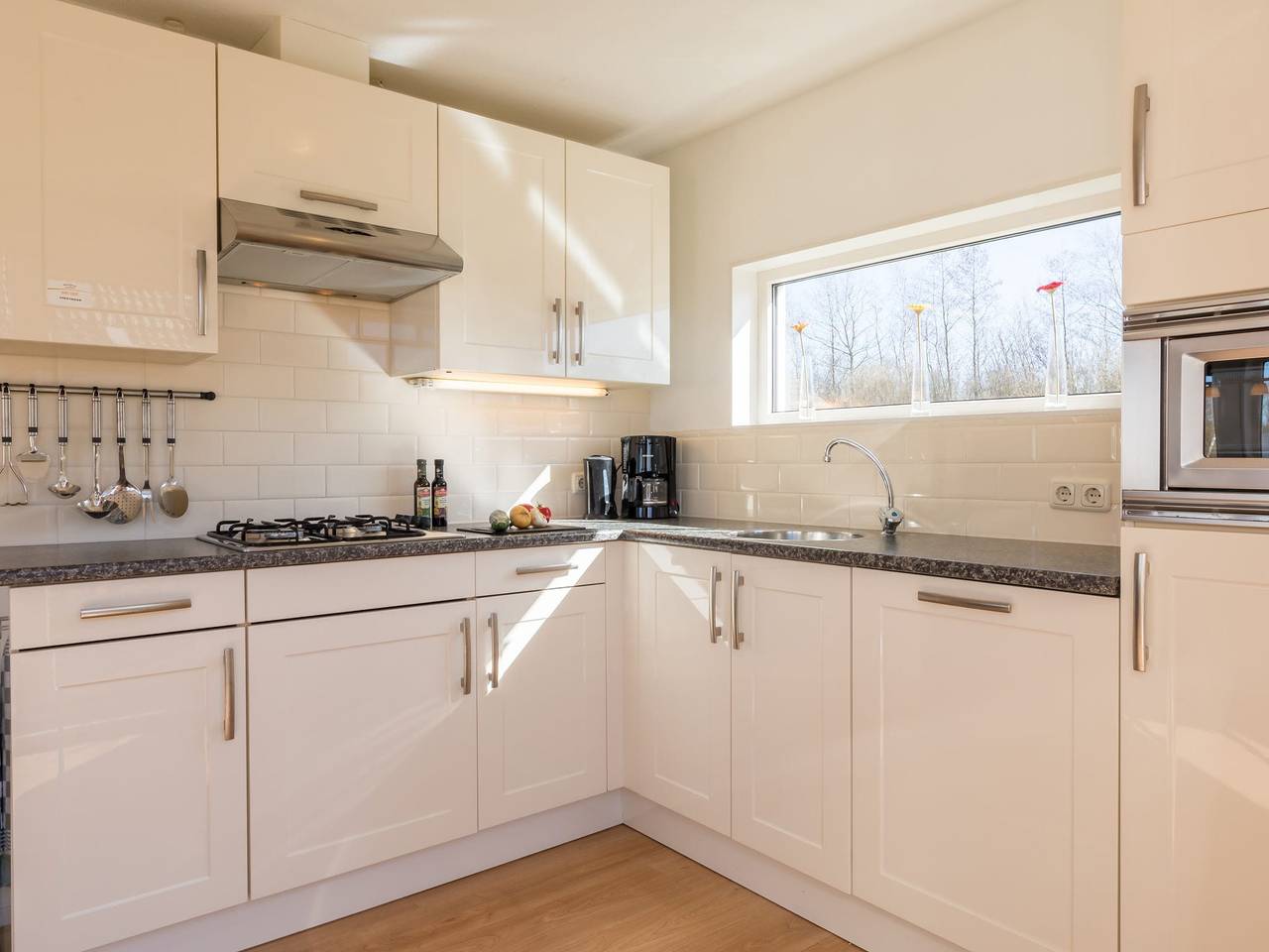 Charmante villa aan het water in Drenthe