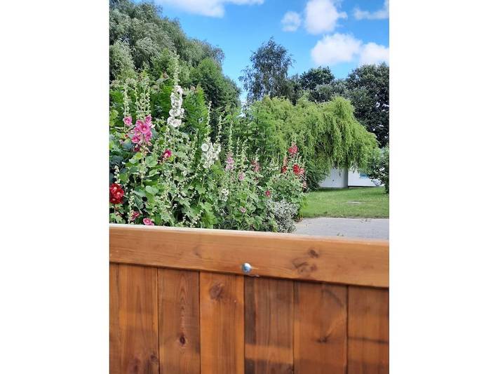 Ferienhaus für 6 Personen, mit Garten in Prohn - 4