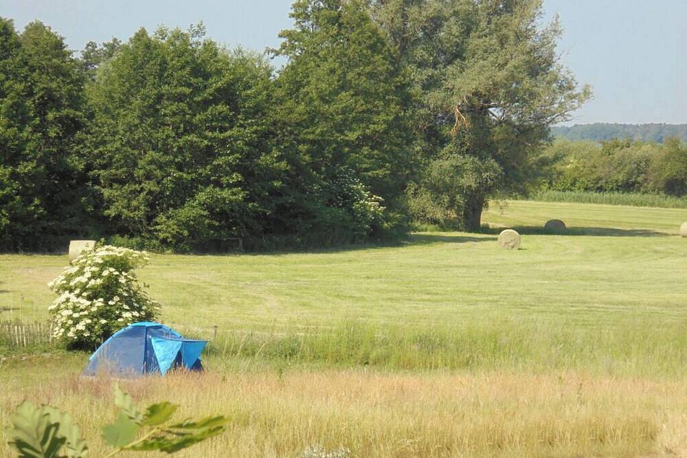 Landhausfischerruhplauersee Fh große Familien 13P Privatstrand Ruderboote Angeln in Alt Schwerin, Plauer See