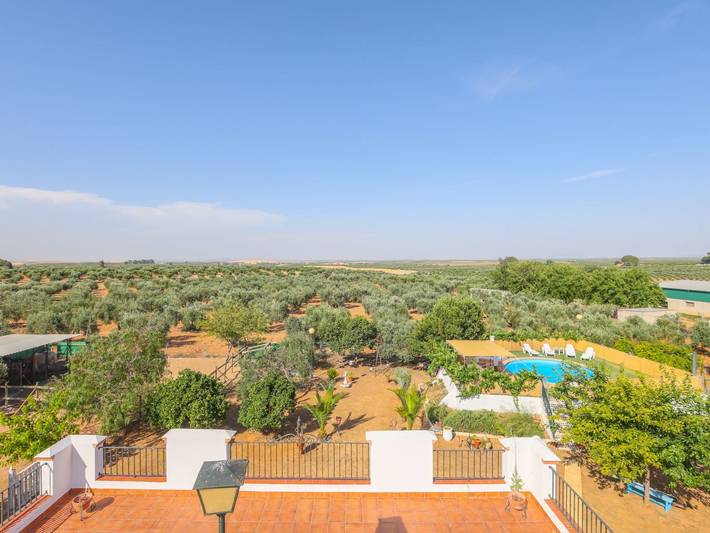 Casa rural para 6 personas, con terraza además de piscina y jardín, Se admiten mascotas en Marchena - 3