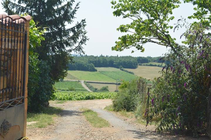 Chambre d’hôte pour 6 personnes, avec terrasse et vue dans Beaujolais - 4