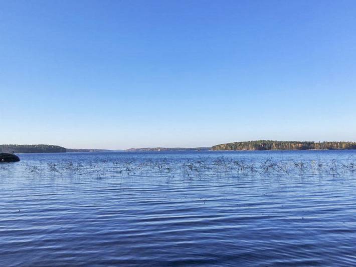Hevonkuusi in Ristiina, Mikkeli