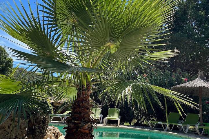 Holiday home for 4 people, with pool and garden as well as terrace, with pets - 1