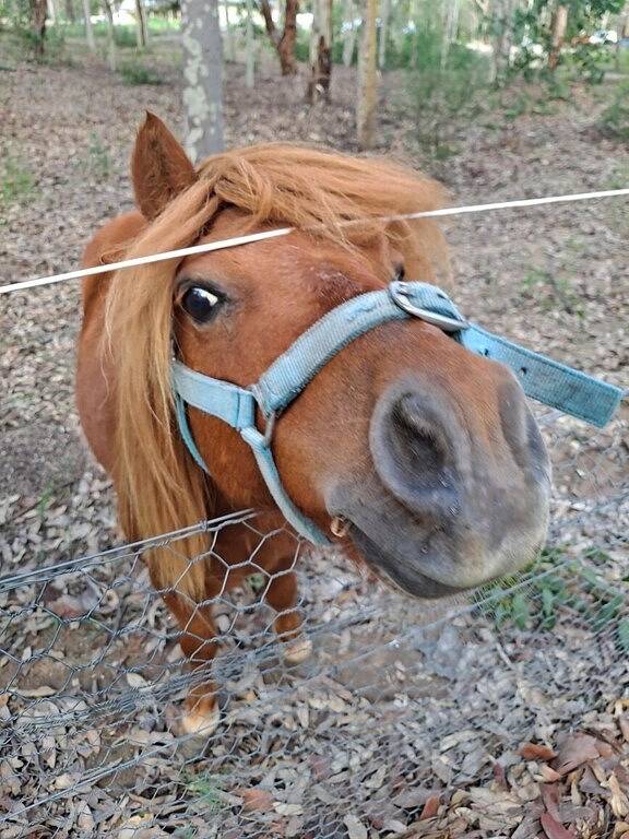 Lodge for 6 People in Hunter Valley, New South Wales