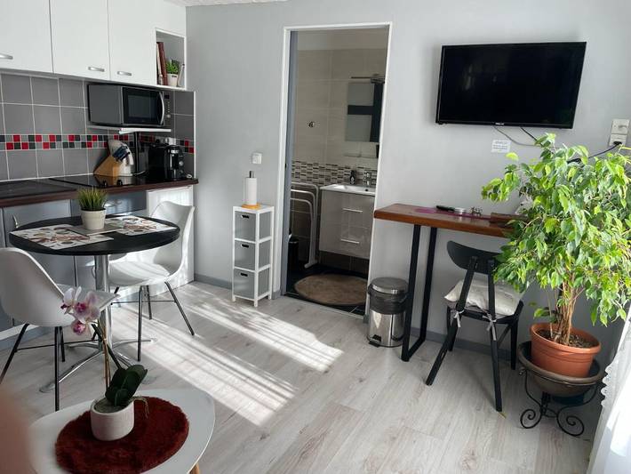 Gîte pour 2 personnes, avec piscine et jardin ainsi que vue et terrasse, animaux acceptés à Montagnac - 3