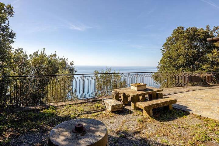 Gîte pour 3 personnes, avec vue et jardin, animaux acceptés à Vernazza - 4