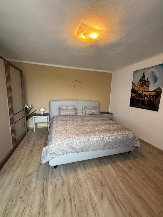 Location de vacances pour 3 personnes, avec vue ainsi que jardin et terrasse dans Mureș - 3