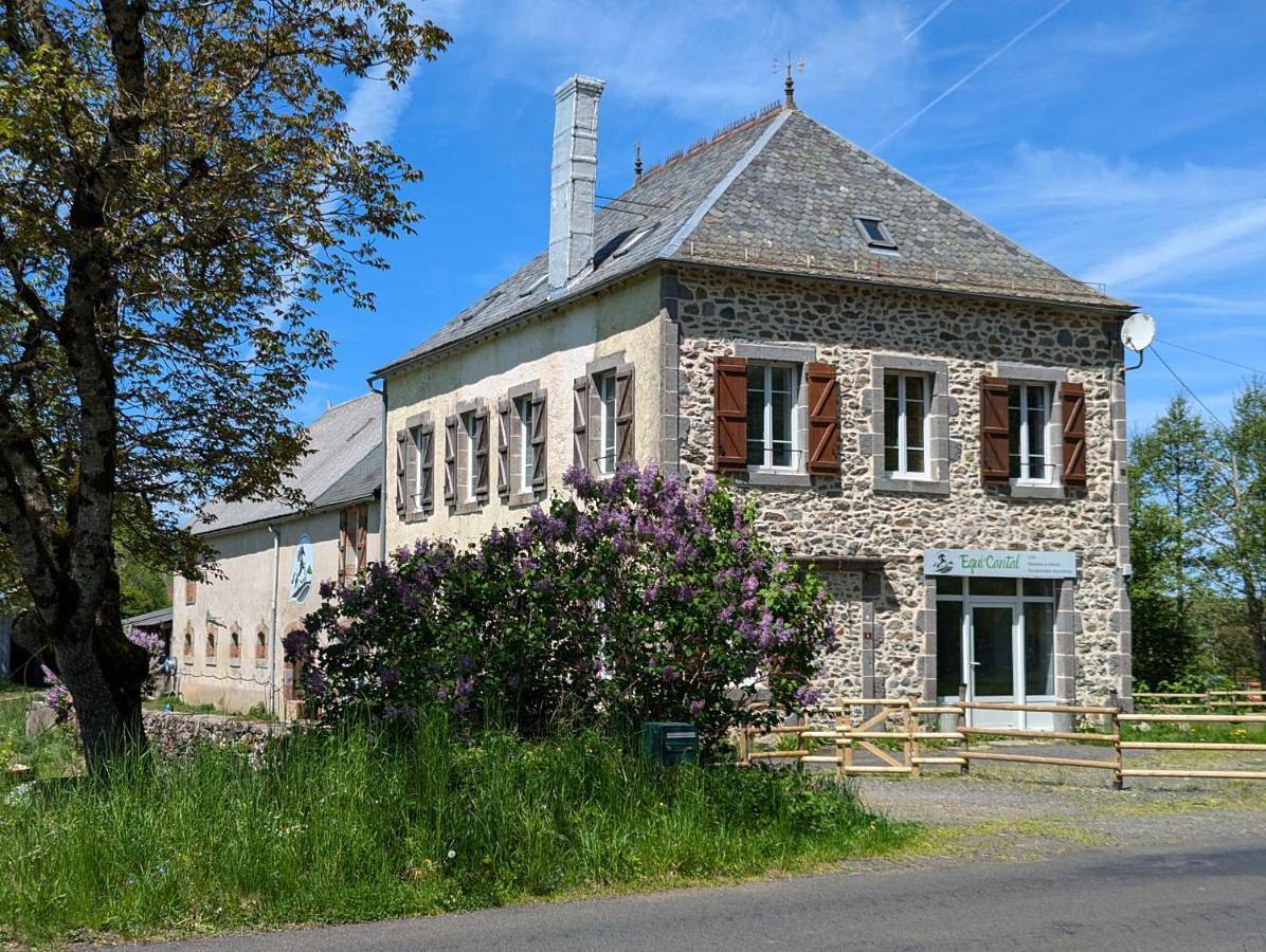 Ferme Équestre Equi'Cantal in Montboudif, Parc naturel régional des Volcans d'Auvergne