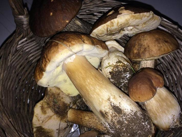 Chambre d’hôte pour 2 personnes, avec vue ainsi que piscine et jardin à Espagnac - 4