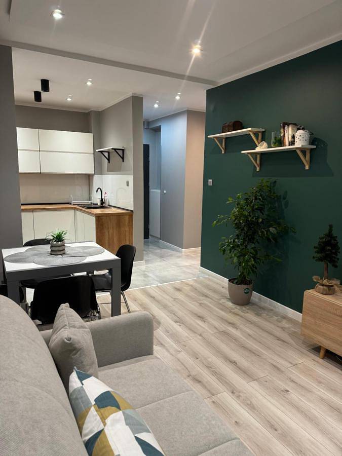 Cały apartament, Apartament Niedurnego 38 in Ruda Śląska, Śląsk