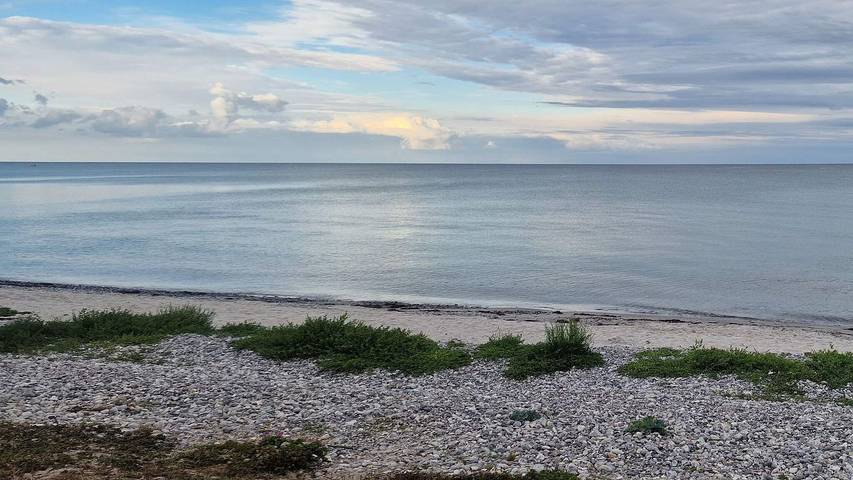 Location de vacances pour 11 personnes, avec sauna et jacuzzi ainsi que piscine et terrasse, animaux acceptés à Ebeltoft - 4