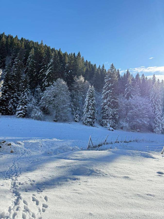 Location de vacances pour 3 personnes, avec vue et balcon à Asiago - 3