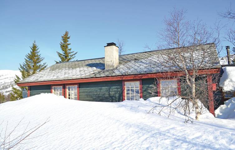 Location de vacances pour 6 personnes, avec terrasse et jardin, adapté aux familles dans Eidfjord - 3