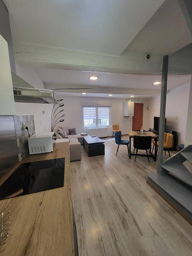 Appartement de vacances pour 4 personnes, animaux acceptés dans Toul