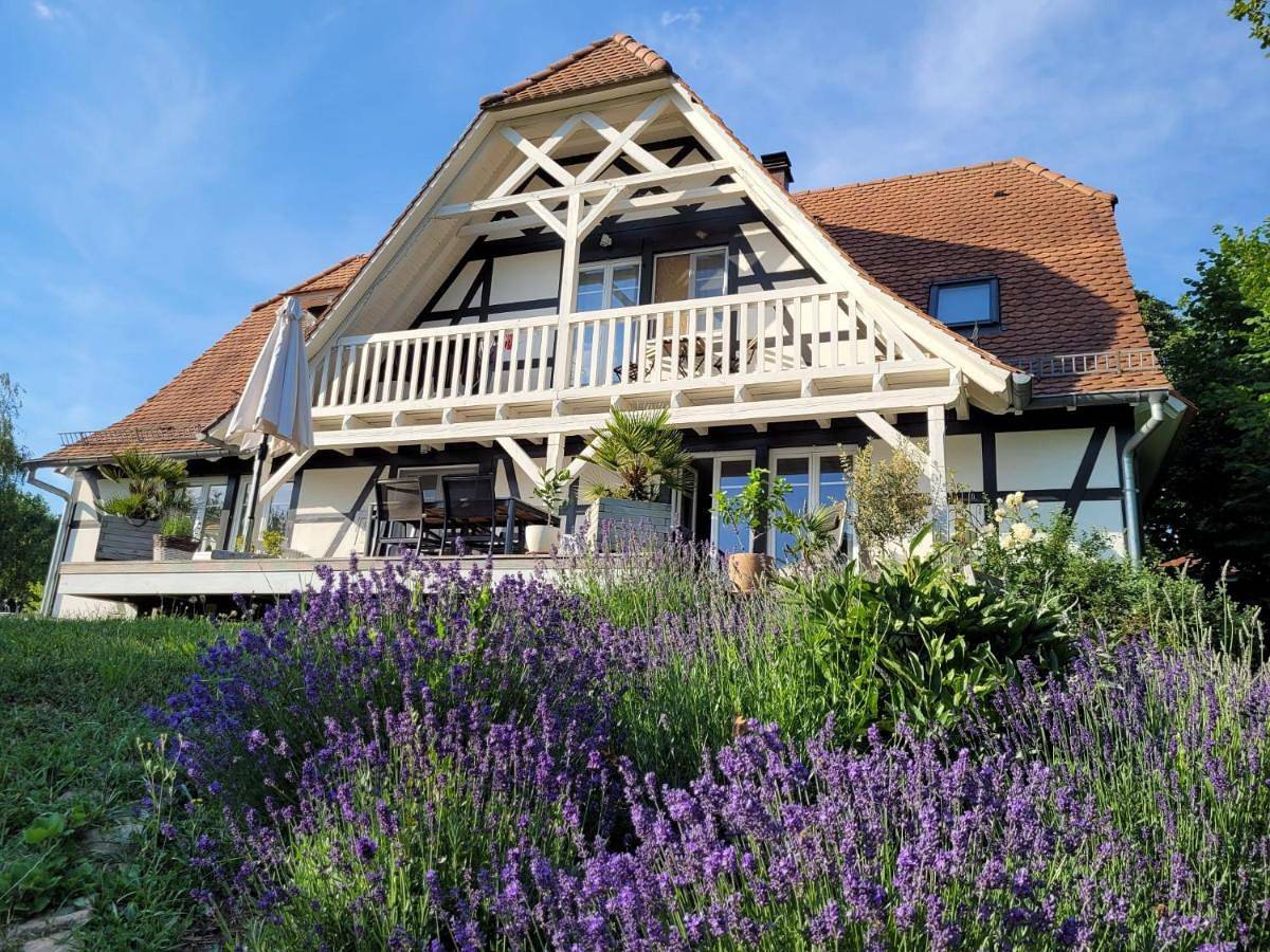 Studio in Oberhoffen-lès-Wissembourg, Région de Wissembourg