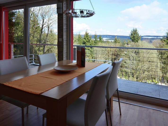 Ferienhaus für 4 Personen, mit Garten und Terrasse, mit Haustier in Masserberg - 3